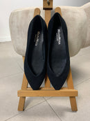 Paola suede pointed ballet flats with V-cut vamp