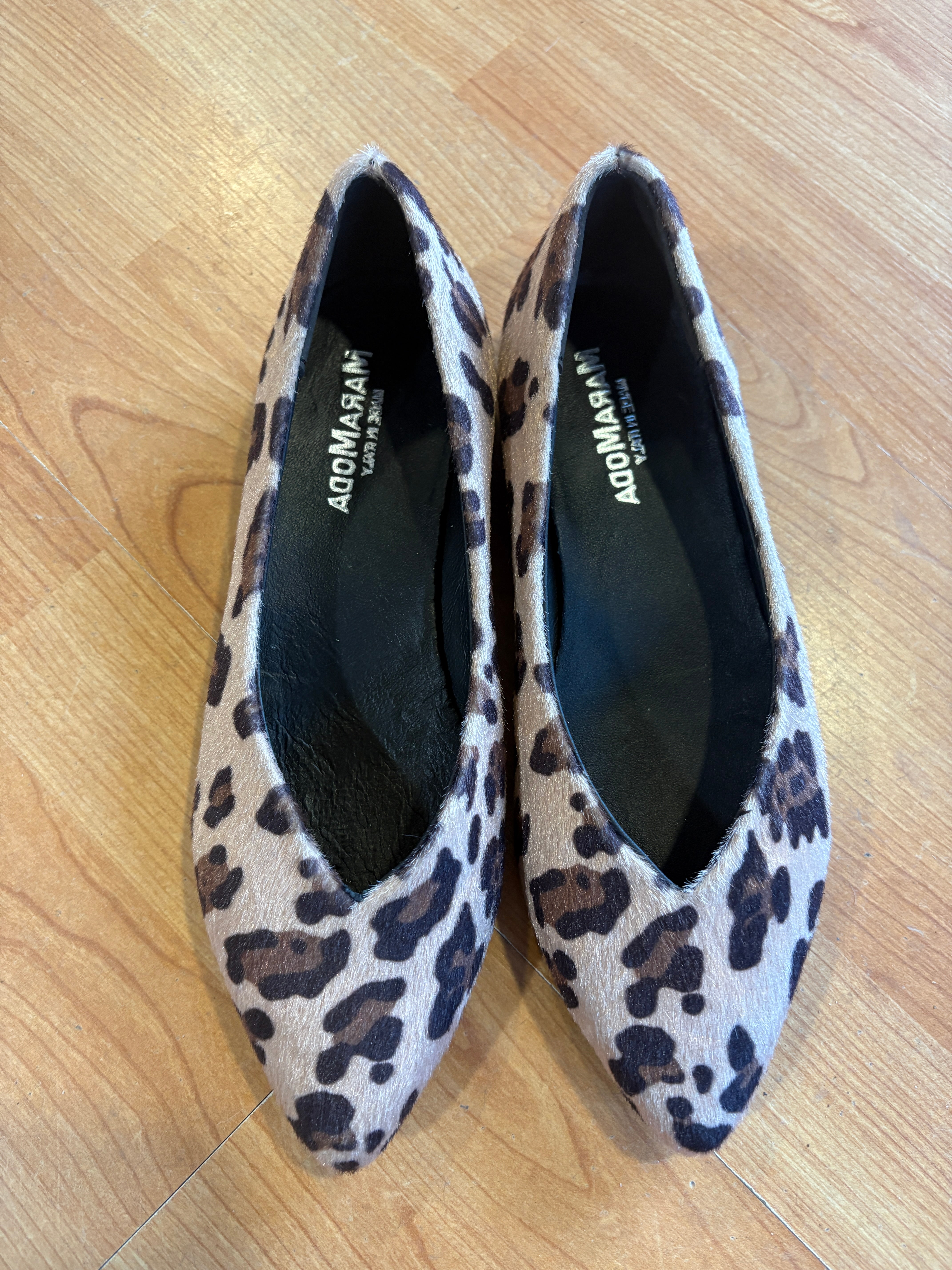 Ballerina Ludovica maculata a punta