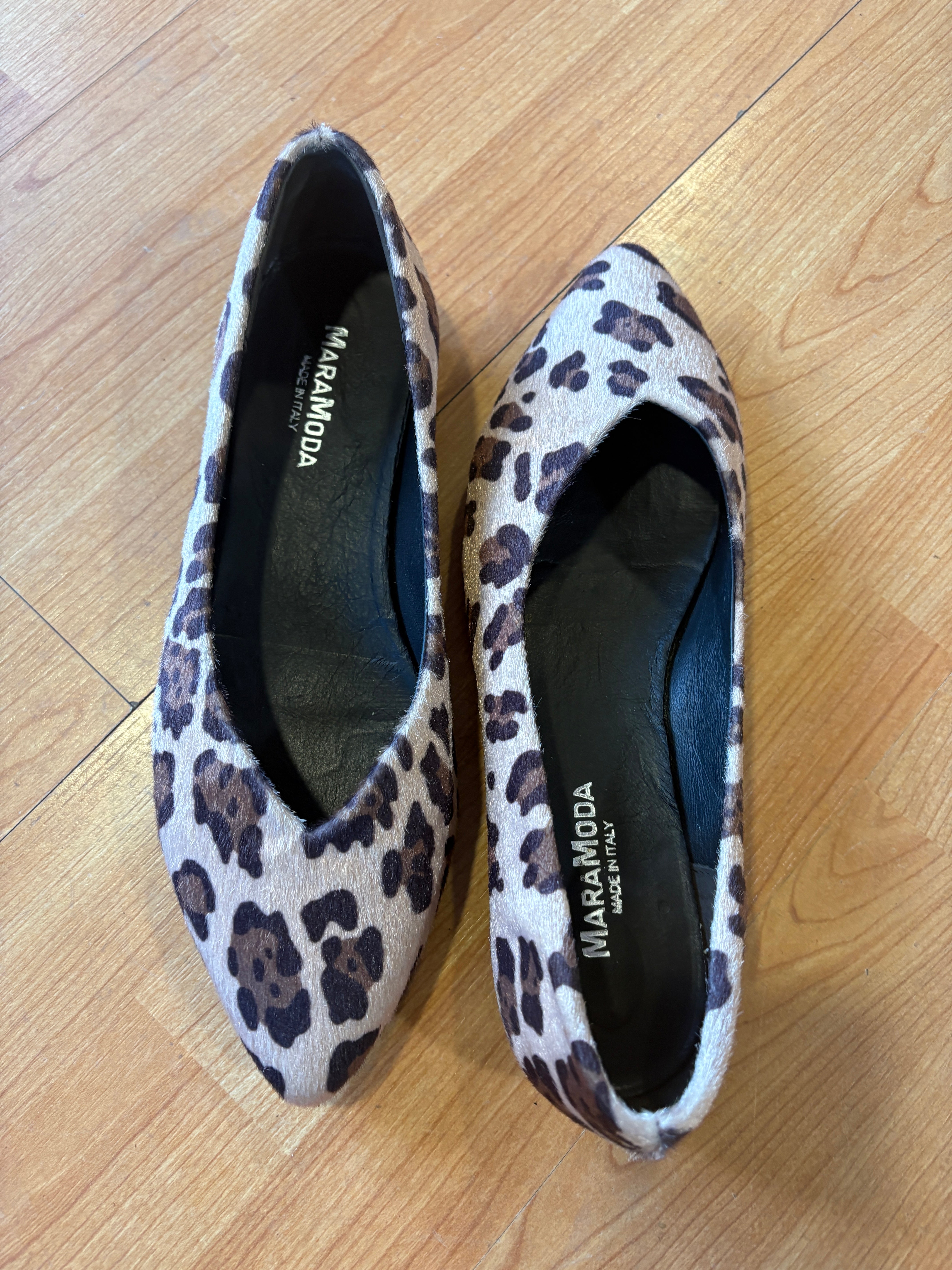 Ballerina Ludovica maculata a punta