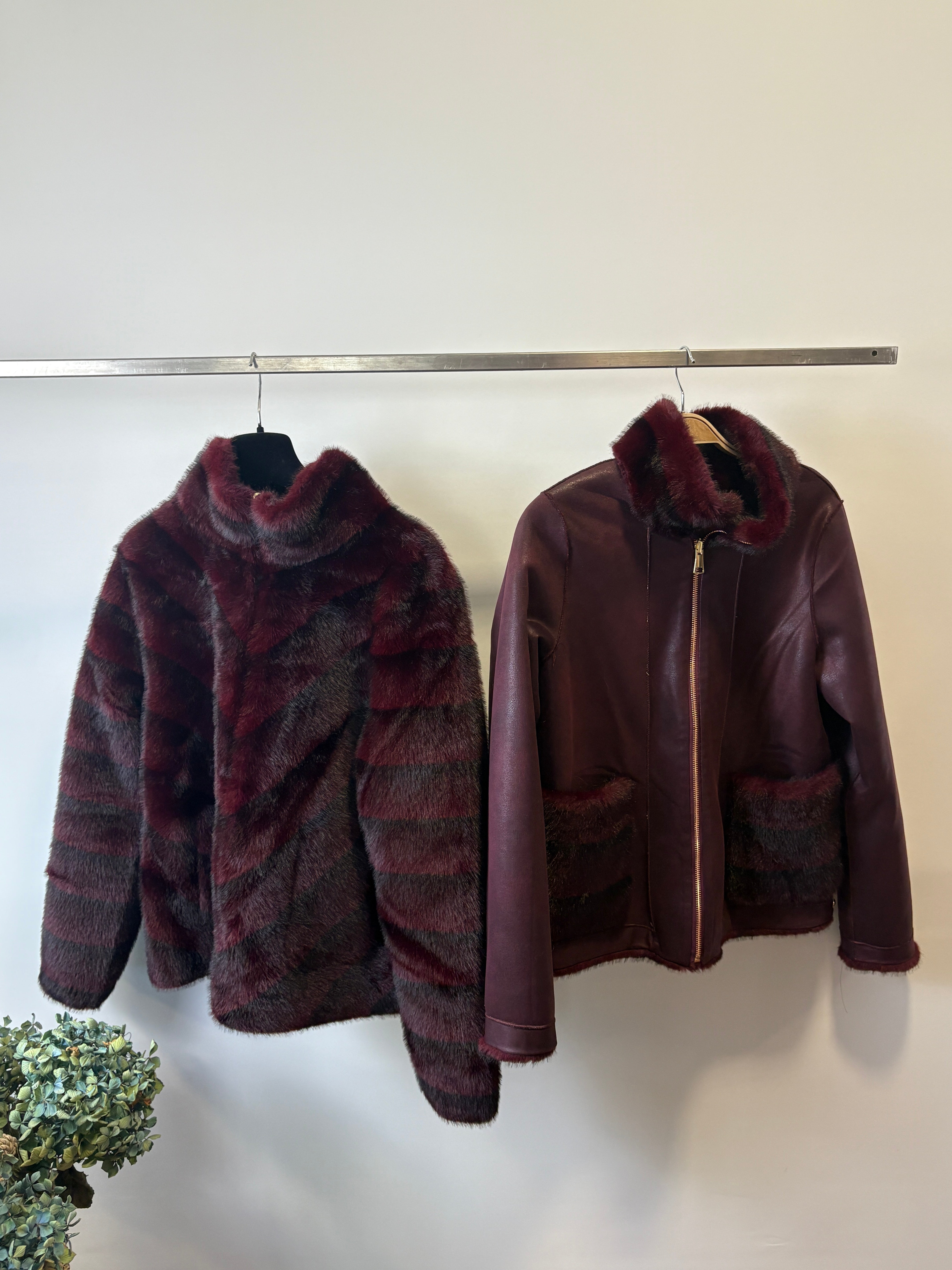 Bordeaux / Small